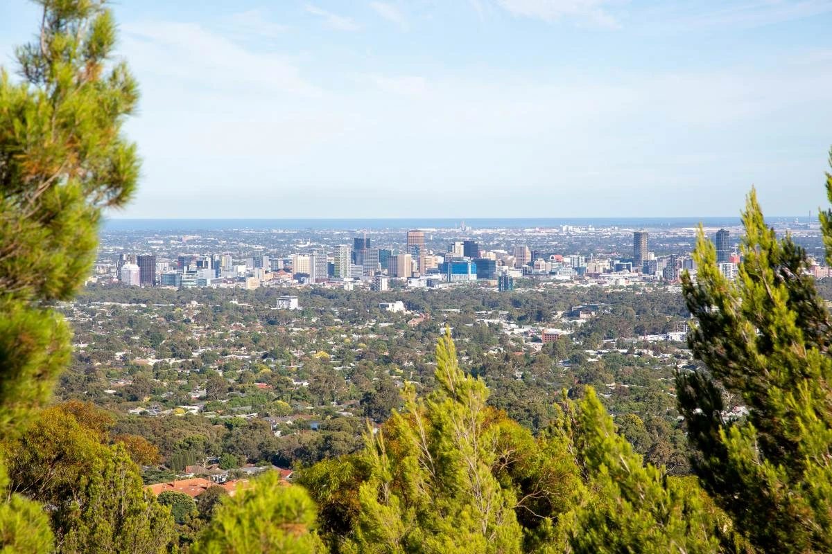 view of a city in the distance from a hill with tree branches framing the image and the ocean in the background