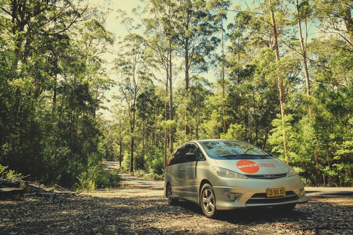 silver campervan driving on a road through a forest with tall green trees towering above