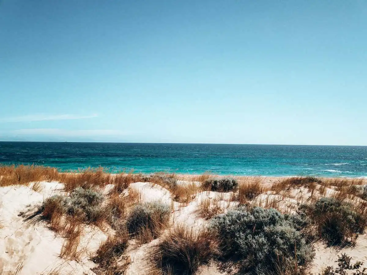 Sand dunes with coastal vegitation rolling towards a white sand beach with turqoise water in Western Australia