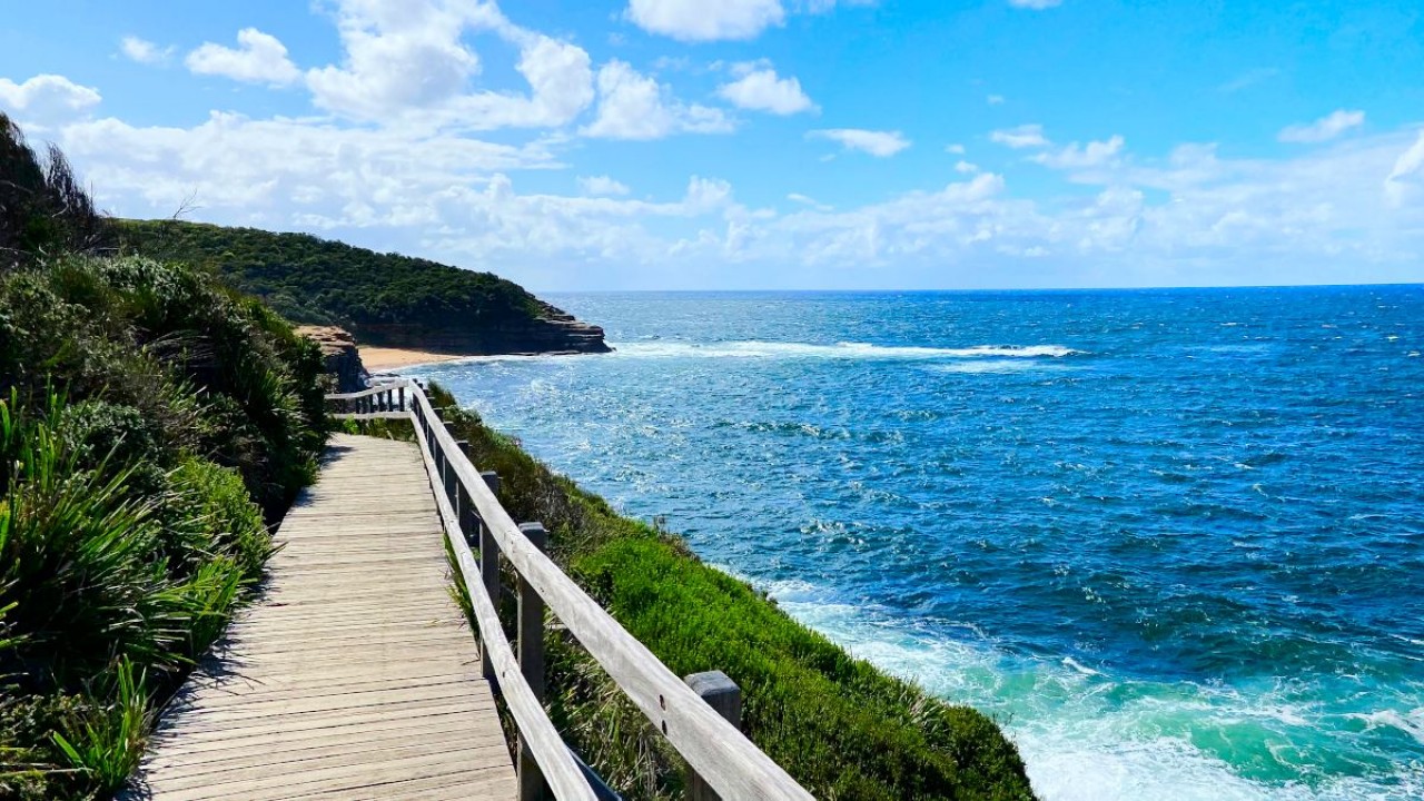 Your guide to an amazing drive along the legendary Pacific Coast from Sydney to Byron Bay