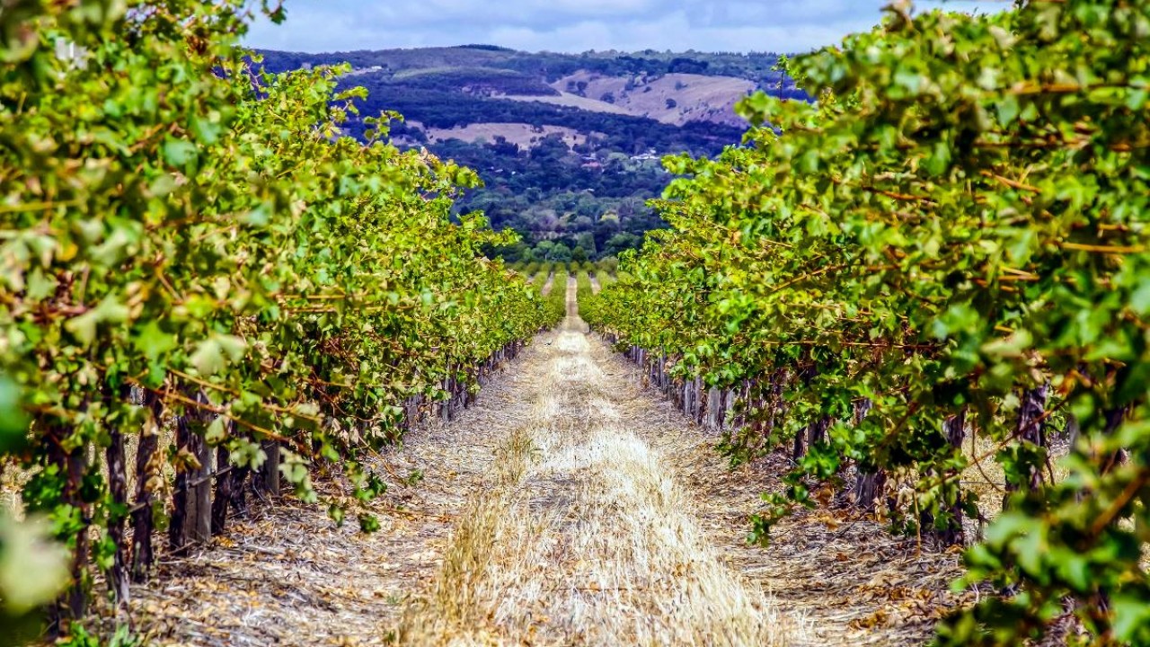 the-best-way-to-go-for-farm-work-in-queensland-in-the-new-normal