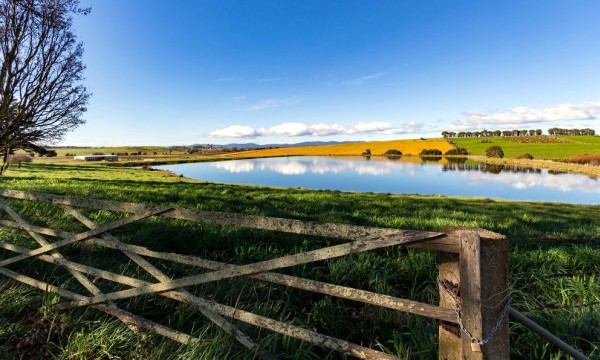 Moriarty Tasmania Steven Penton web v2