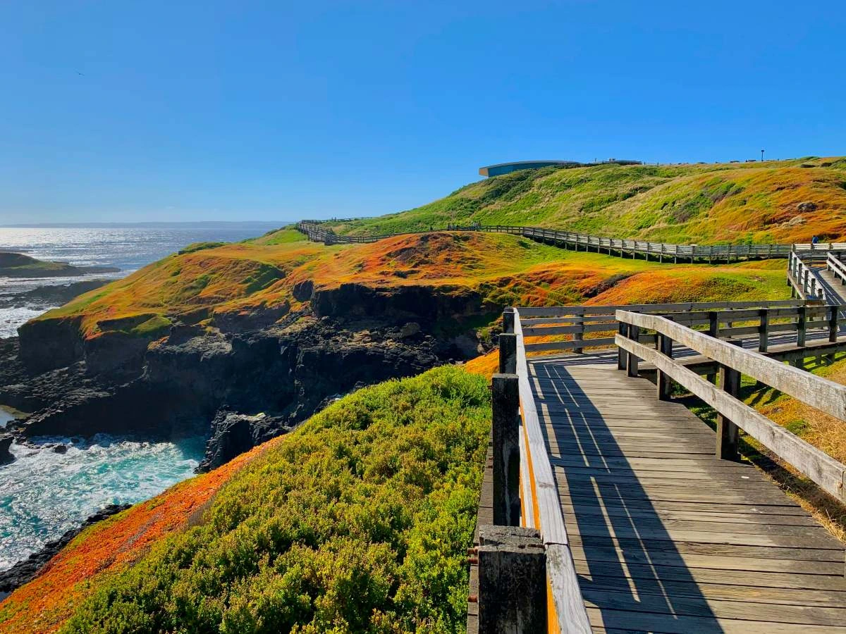 Wooden boardwalk with handrails built along a coastal cliffside