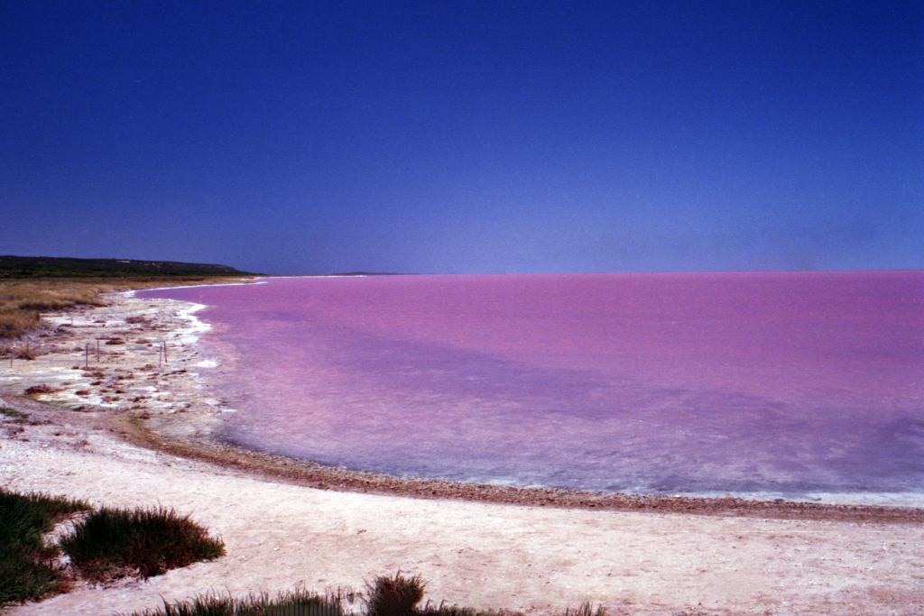 Lake Hillier (Pink Lake) by Stefan Fischer